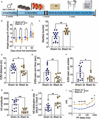 Repetitive Blast Exposure Increases Appetitive Motivation and Behavioral Inflexibility in Male Mice